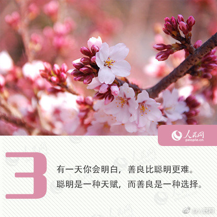 欧美午夜性爱