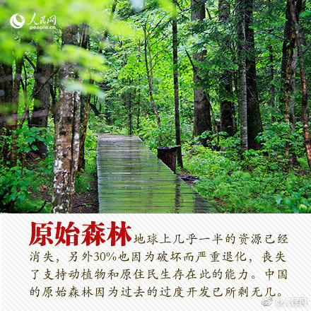 扒腿吃奶18禁  动漫