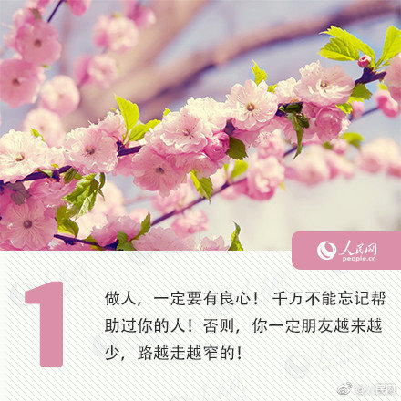 1级毛片
