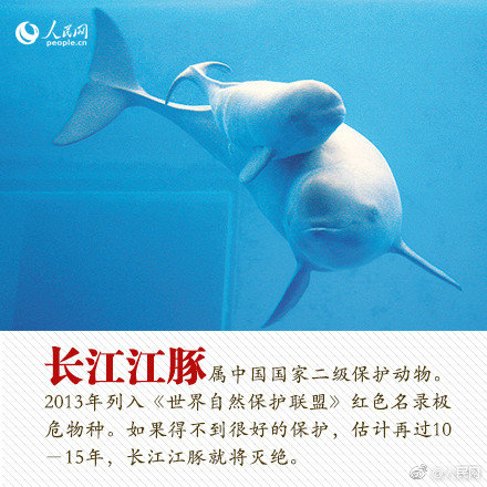 亚洲欧美三级片