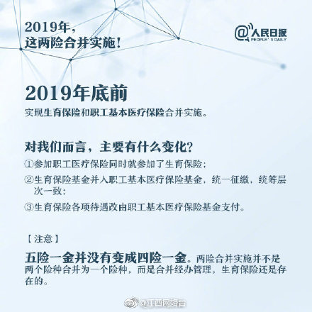 女僕貓