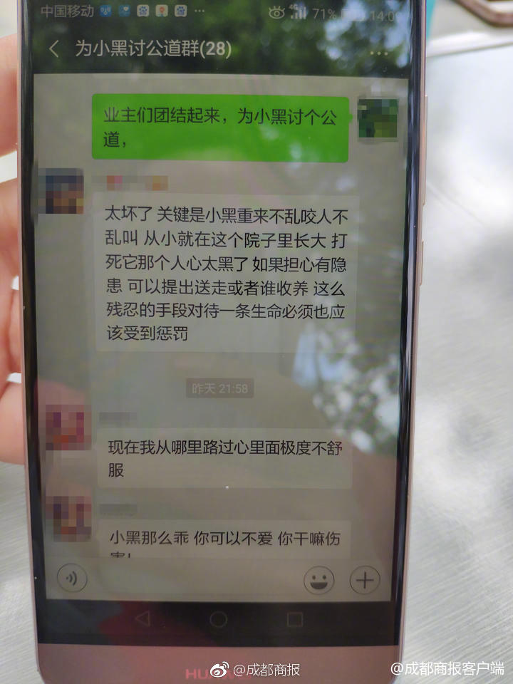 国产精品综合
