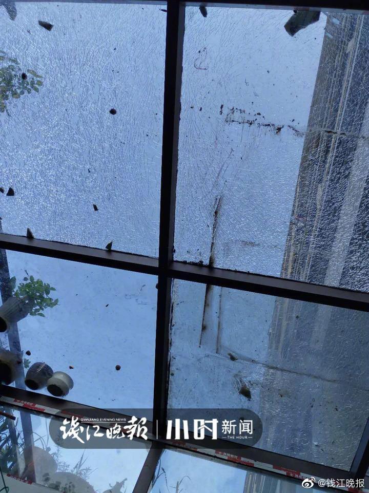 亚洲伦乱人妻