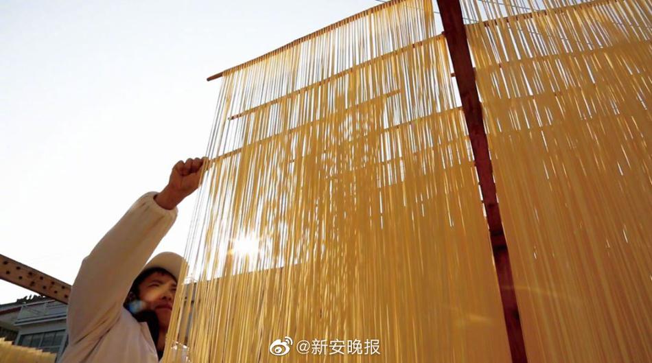 荷兰性培训机构性爱初次视频
