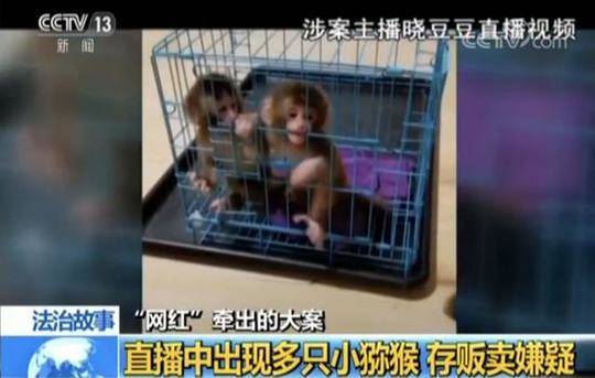 大鸡巴搞逼