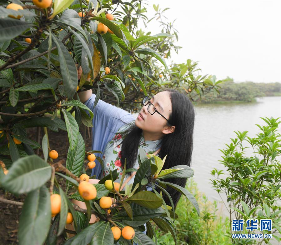 公狗操美女