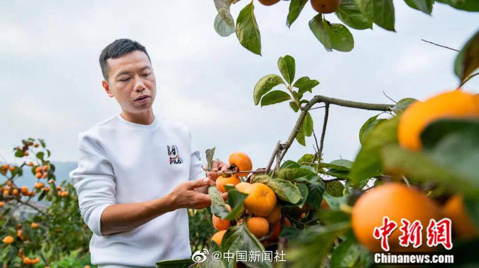 一区二区三区欧美