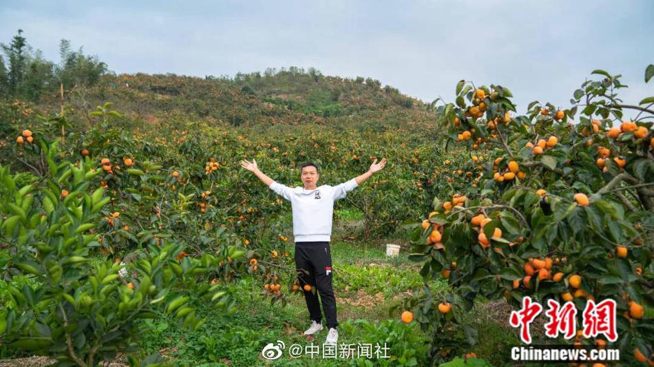 中国三级频道按摩黄色电影