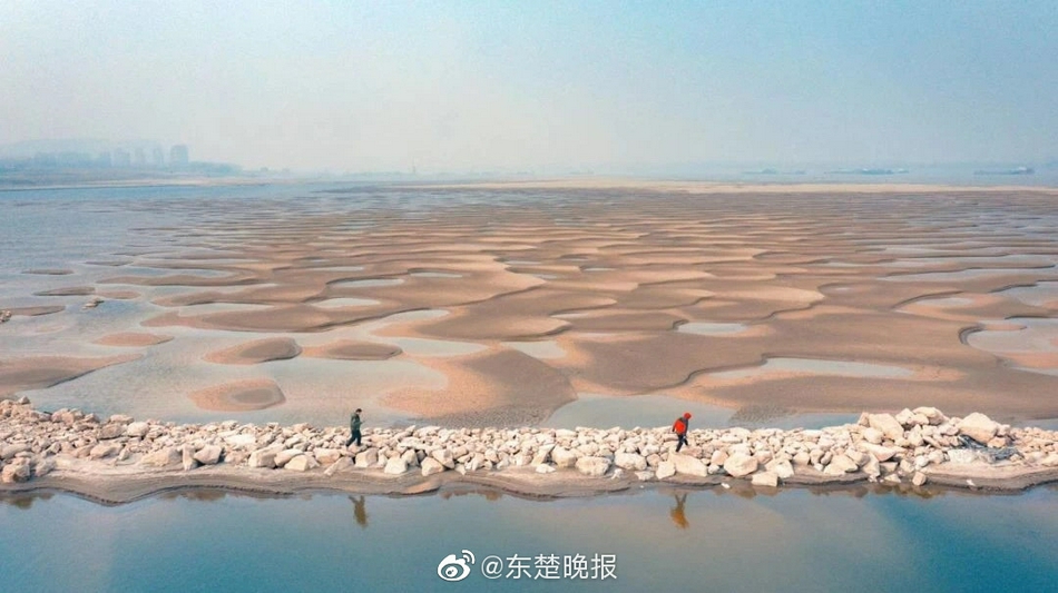 黄色视频网站连接