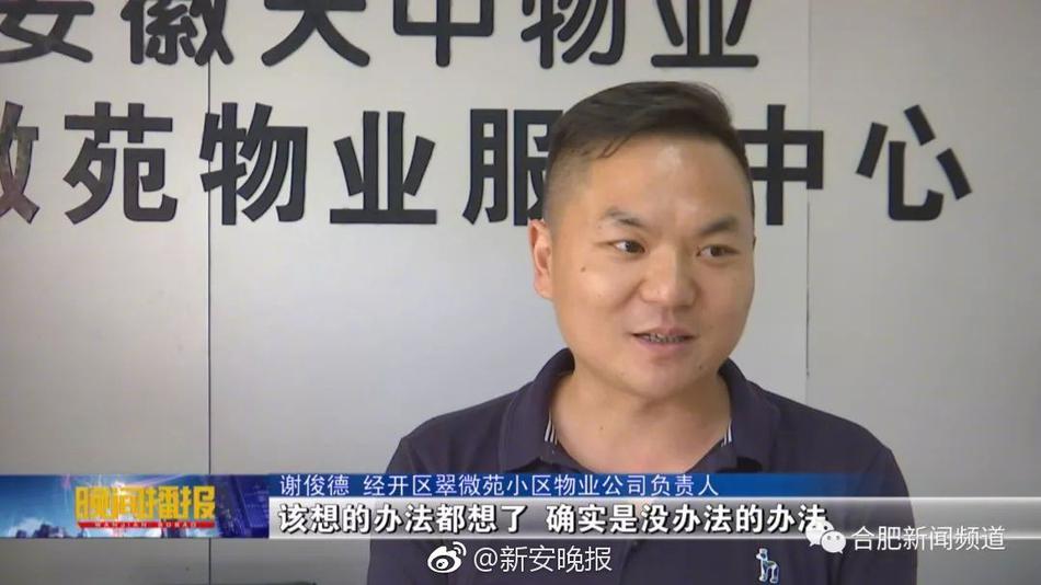 男j插女p