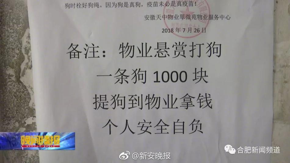 国语Free性Xxxxhd公交