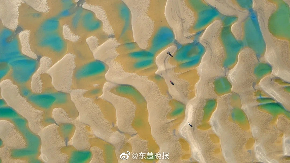 老奶奶logo高清图片