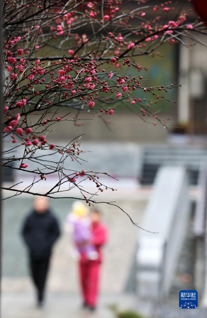 青山希愛