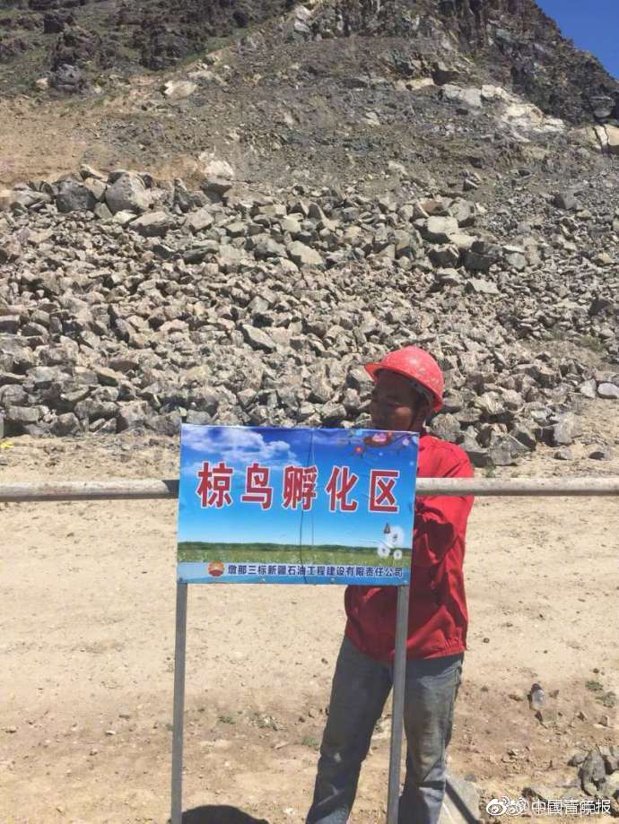 张筱雨没女裸体艺术照