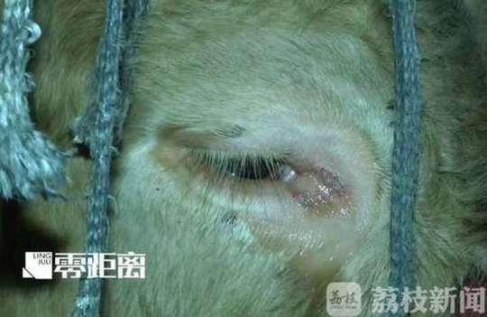 色情 视频 搜索