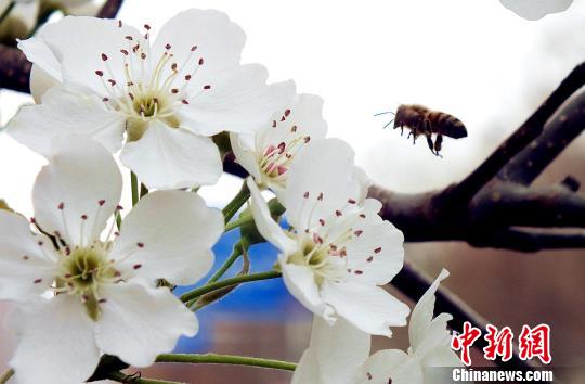 中国老太性Hd大全82