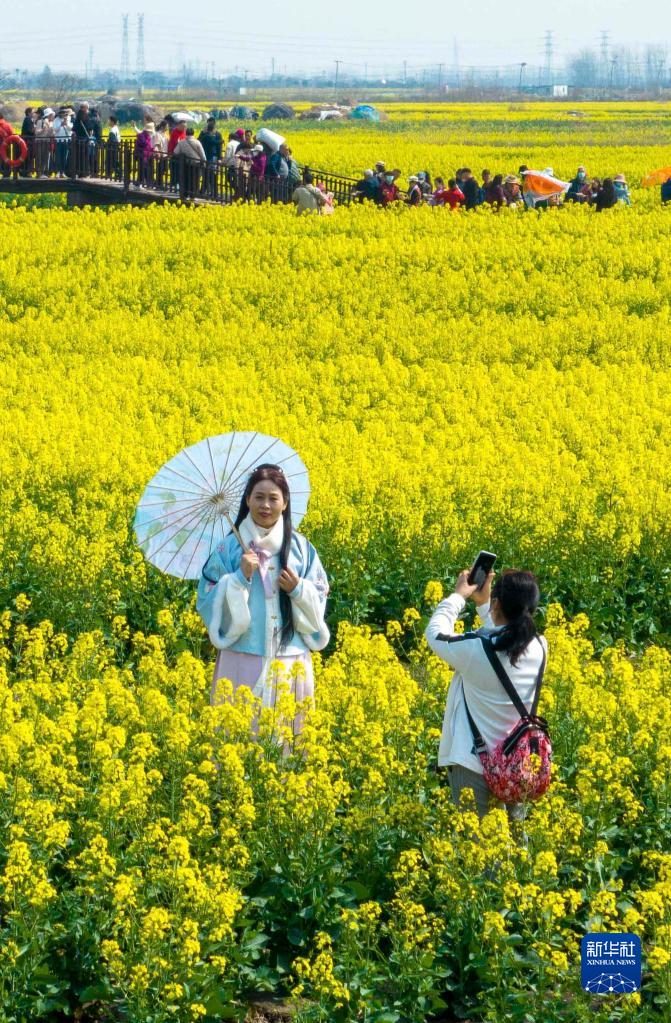 大橋未久