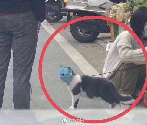 漂亮少妇色情片