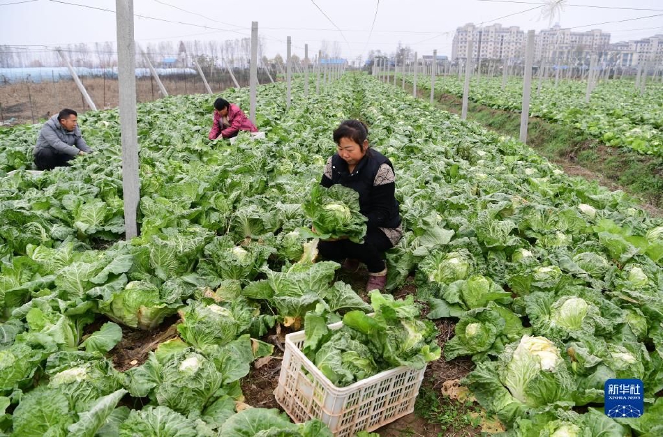 人妻外遇劇情片