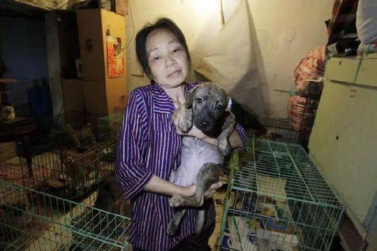 深夜福利导航