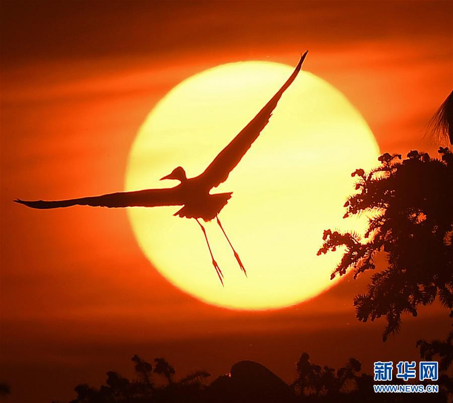 黄色电影院免费看一级黄色电影