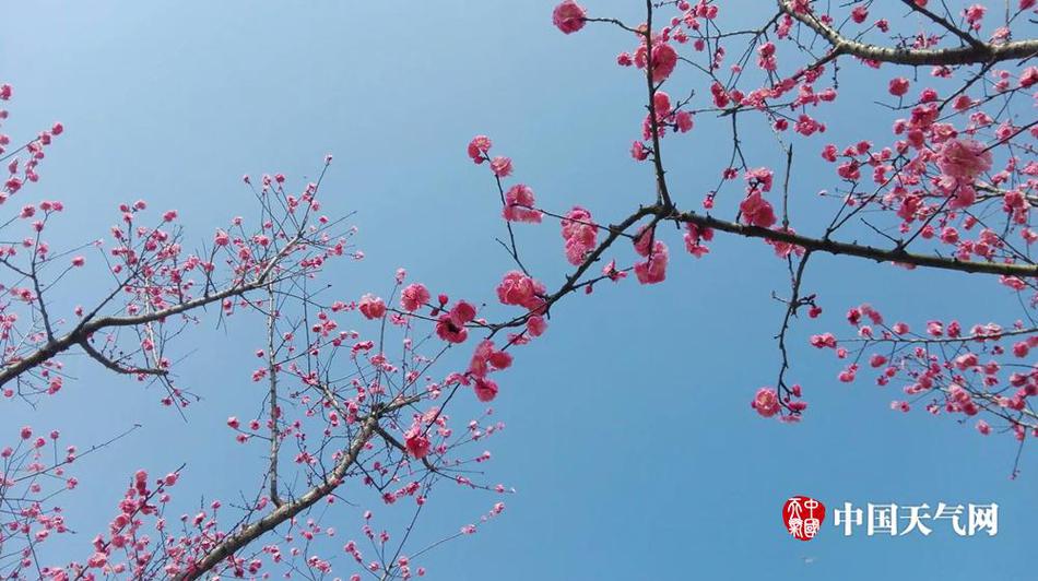 郭盈恩
