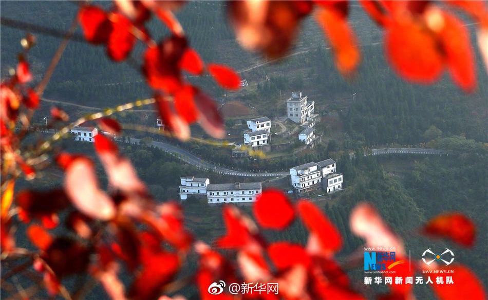 免费A漫禁漫天堂