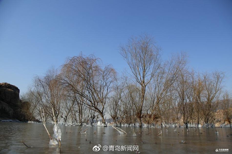 金手指加藤鹰