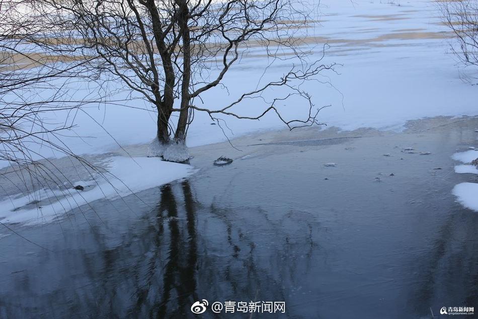 欧美三级一级片