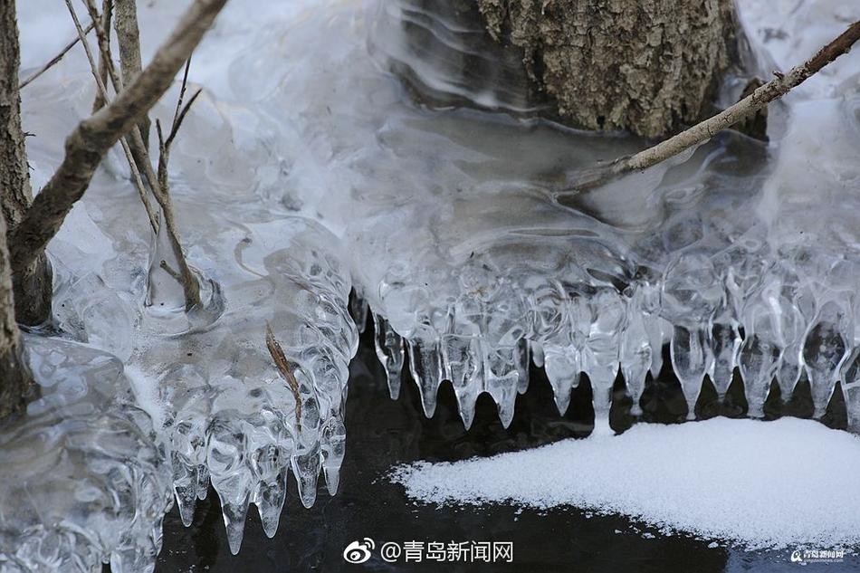 一级强奷毛B一片