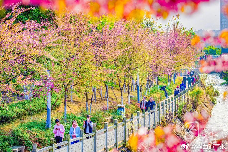 幸福花园动漫
