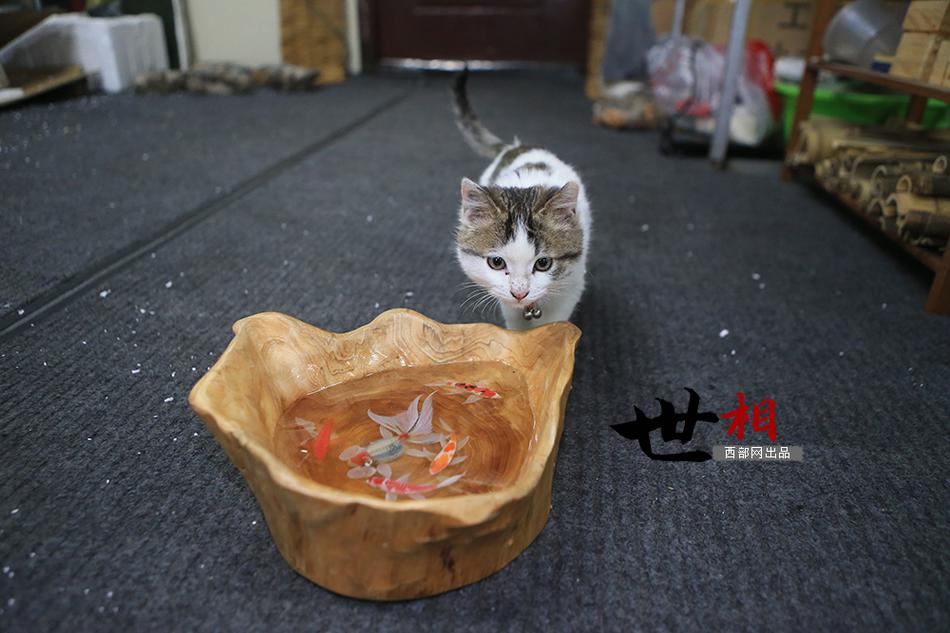 调教人妻