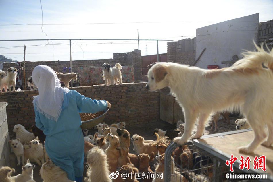 杨钰莹一级毛片免费