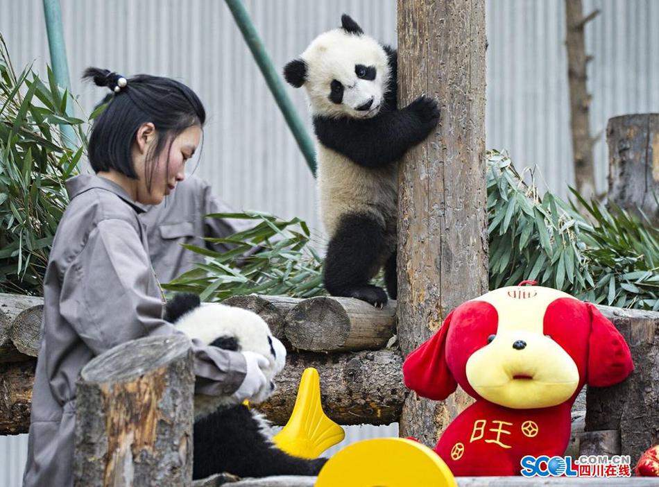 意大利XXX性HD精品