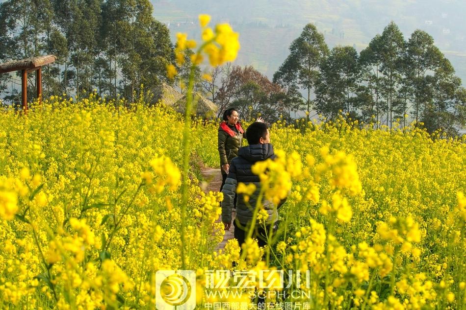 狂躁美女大BBBBBB秘书