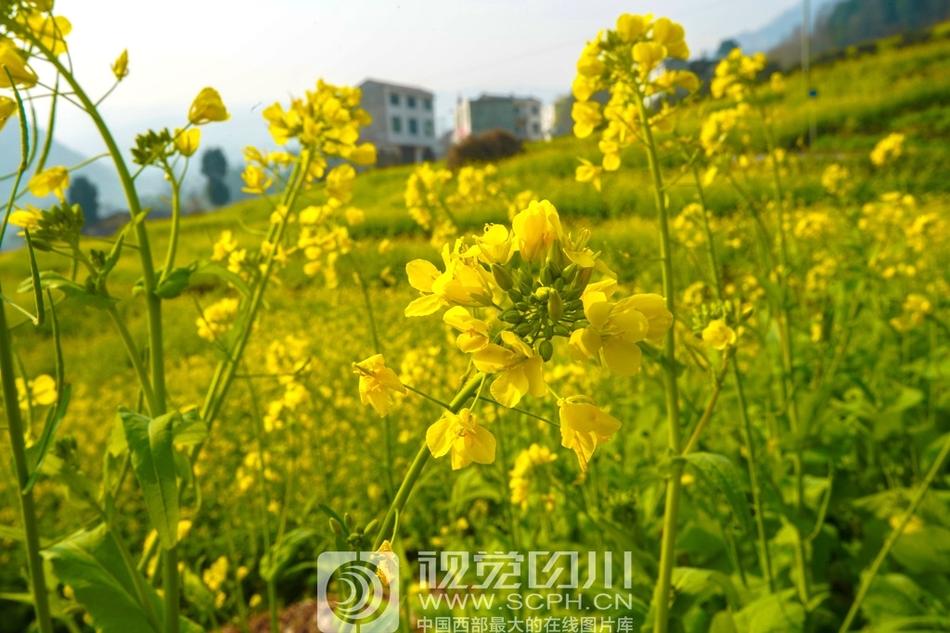 久久国产精品张津瑜