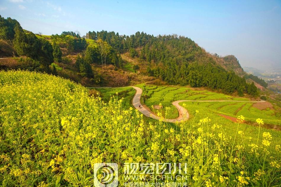 在线 免费 色情 电影