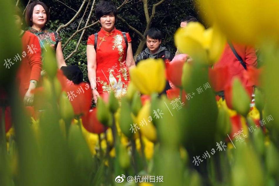 欧美夫妻生活一级黄片