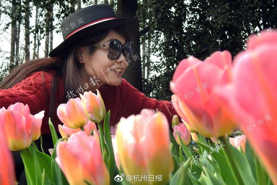 神馬影院午夜倫理片