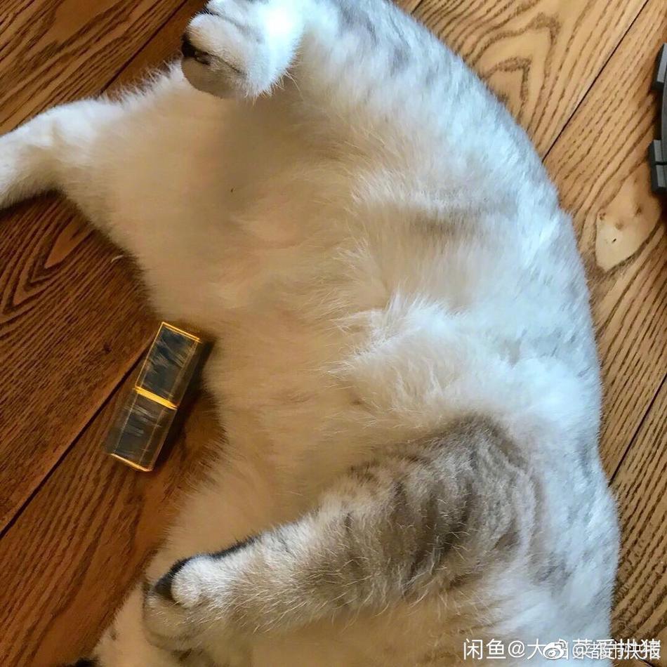 韩国高清理伦电影