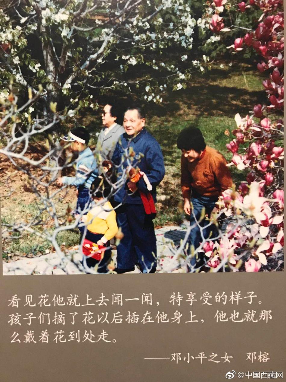 矛盾大對決按摩棒