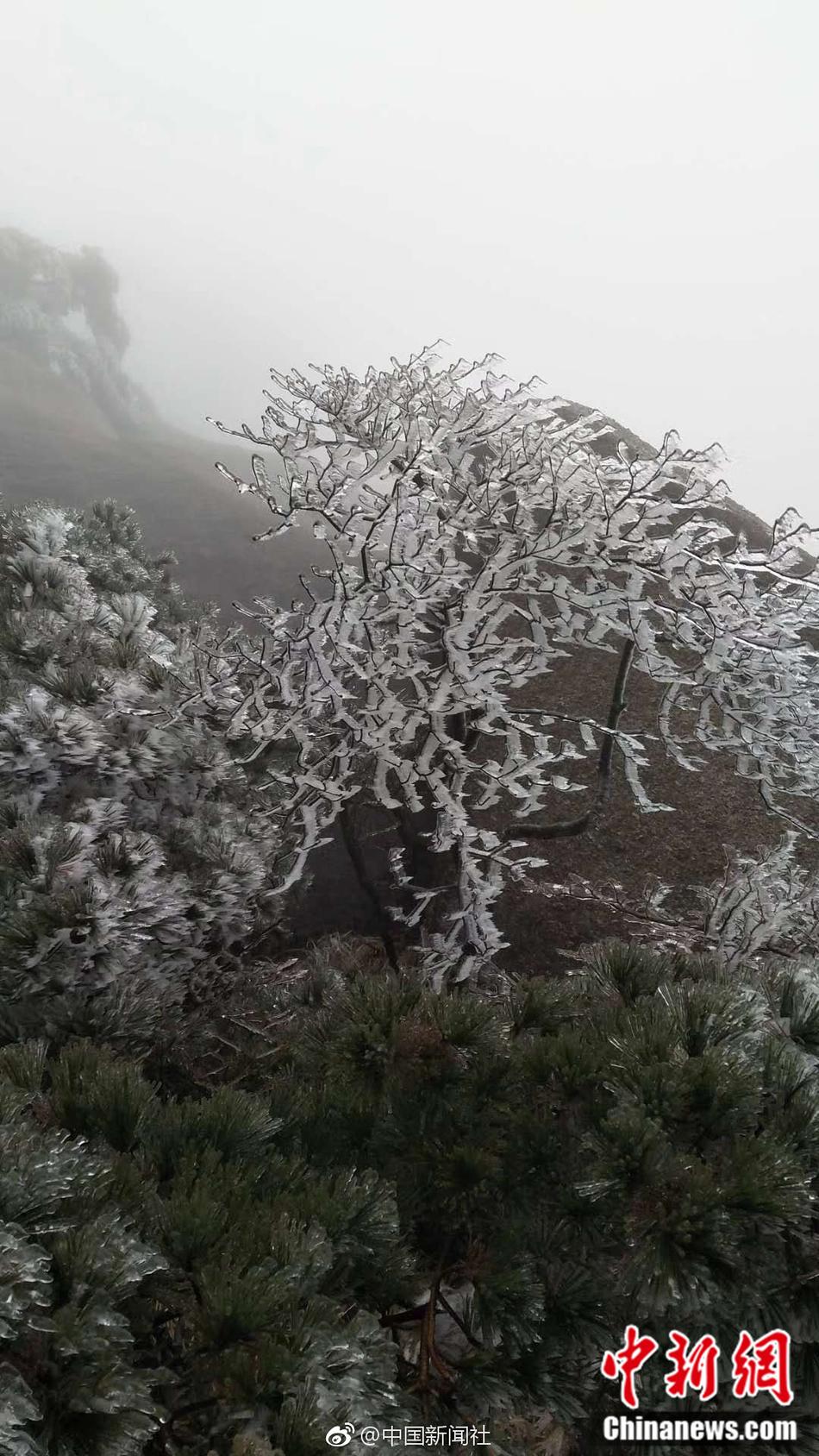 浮梦sama寸止龟责训练游戏
