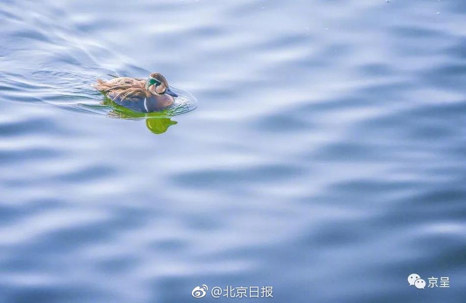 婷婷激情综合