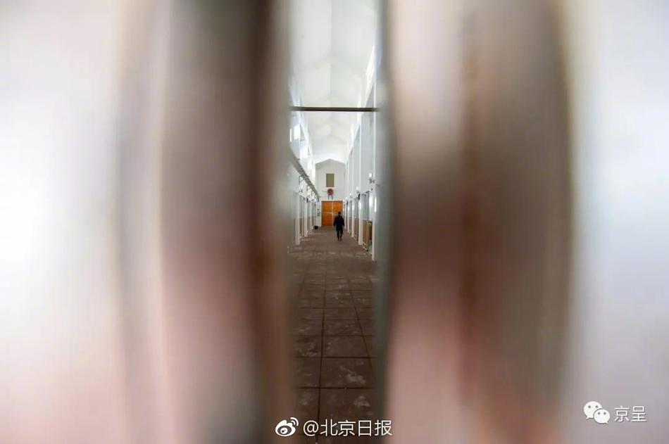 AV动漫
