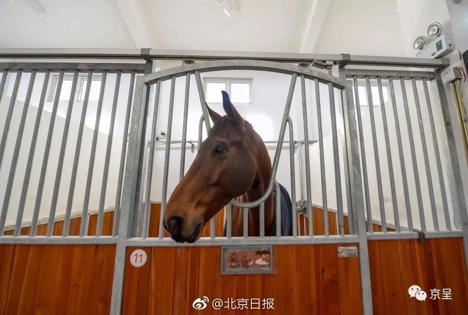 国产做爰14XXXⅩ高潮电影