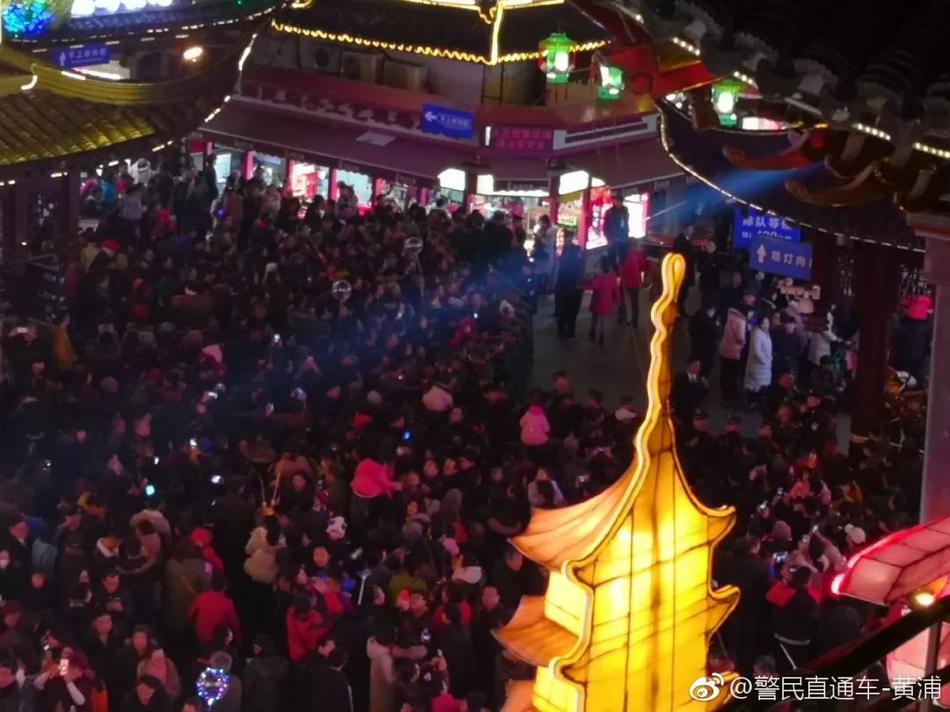 高清 色情 网