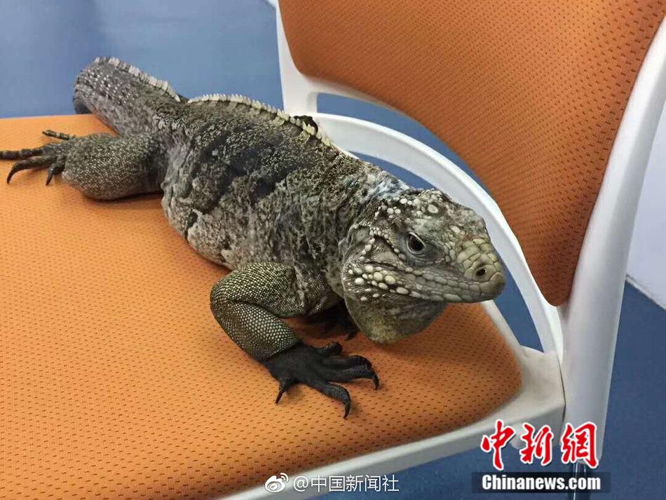 精品999久久久一级毛片