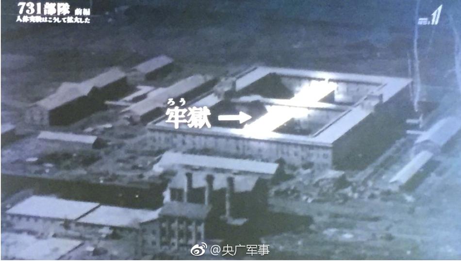 真人毛片