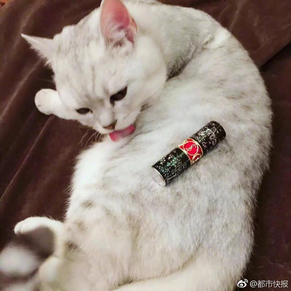 秘书边打电话边被躁H