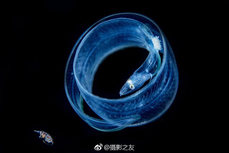 亚洲三级电影